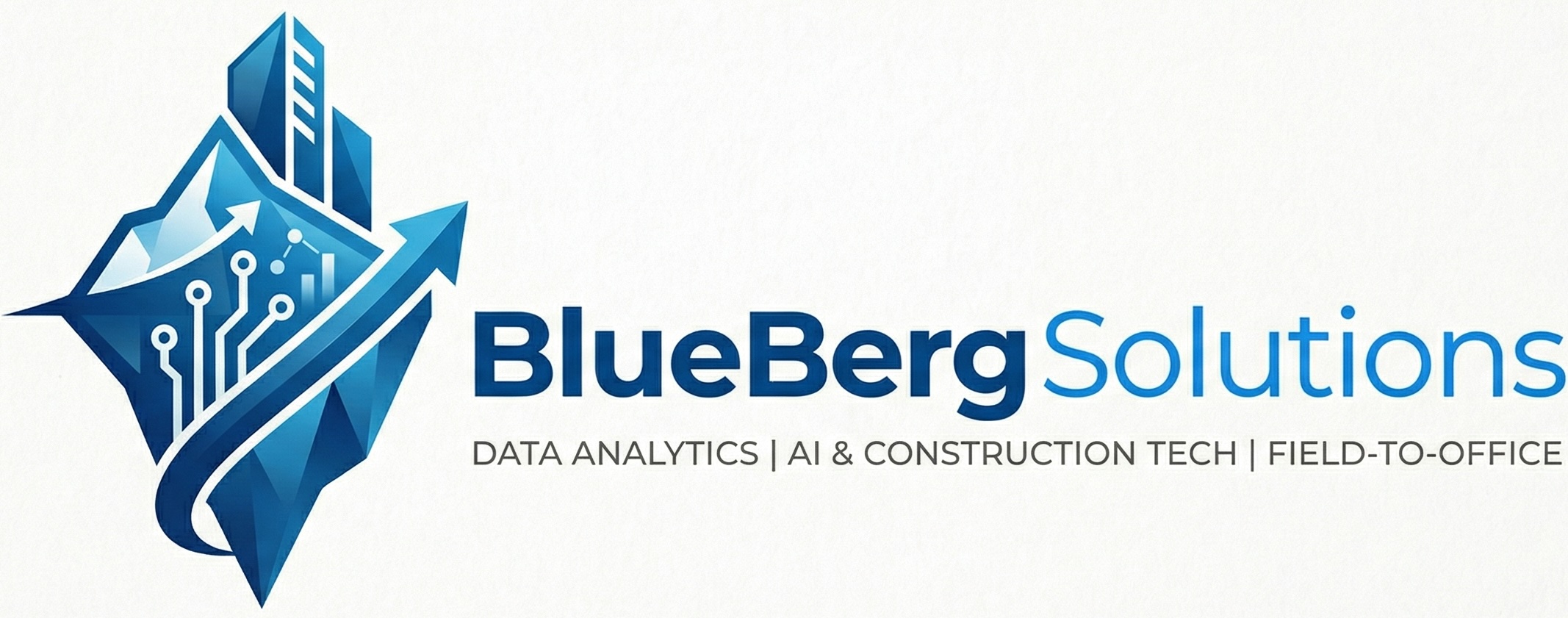 BlueBerg Solutions